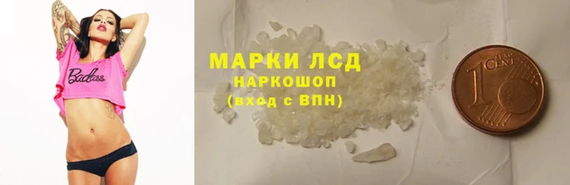 сатива Балахна