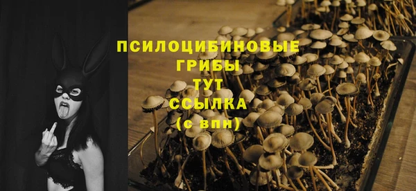 сатива Балахна
