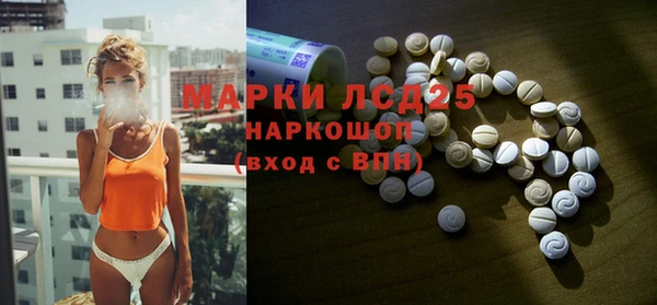 сатива Балахна